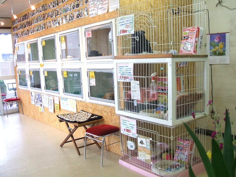 株式会社原町ペットセンター